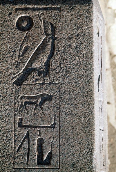 Hieroglyf s Horovým jménem, Velký Amonův chrám, Tanis, Egypt, Nová říše, 19. dynastie od Egyptian 19th Dynasty