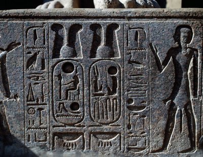 Hieroglyfy, detail kopyta kolosální sochy krále, nádvoří Ramsese II., Amonův chrám (Seznam světového dědictví UNESCO) od Egyptian 19th Dynasty