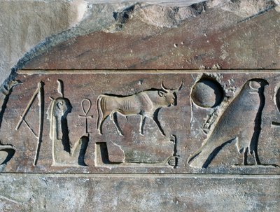Hieroglyfy se jménem Ramsese II., podstavec obelisku, Amonův chrám (Památka světového dědictví UNESCO) od Egyptian 19th Dynasty
