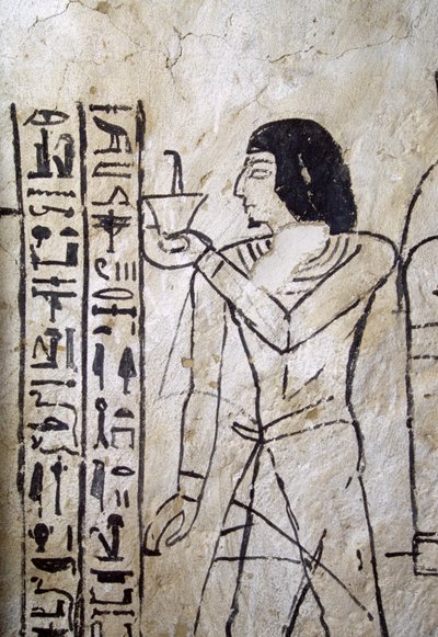 Obrázek knihy mrtvých, Nahtminova hrobka, Abúsír, Egypt, Egyptská civilizace, Nová říše, Dynastie XIX od Egyptian 19th Dynasty