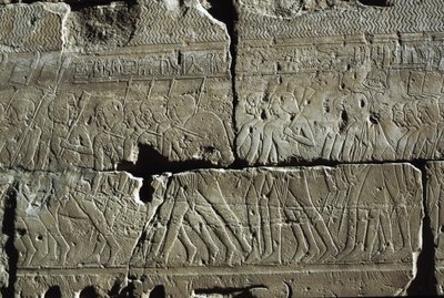 Reliéf, Amonův chrám, Luxor, starověké Théby (Seznam světového dědictví UNESCO) od Egyptian 19th Dynasty