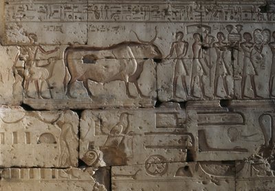 Reliéf, Chrám Ramsese II, Abydos, Egypt, Egyptská civilizace, Nová říše, Dynastie XIX (foto) od Egyptian 19th Dynasty