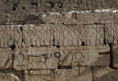 Reliéf, Chrám Ramsese II, Abydos, Egypt, Egyptská civilizace, Nová říše, Dynastie XIX (foto) od Egyptian 19th Dynasty