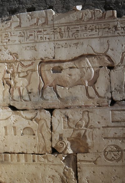 Reliéf, Chrám Ramsese II, Abydos, Egypt, Egyptská civilizace, Nová říše, Dynastie XIX (foto) od Egyptian 19th Dynasty