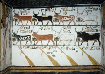 Sedm nebeských krav, býk a čtyři kormidelní vesla, kapitola 148 Knihy mrtvých, detail z fresek v druhé komoře Hrobky Nefertari, Údolí královen, Luxor, Théby. Egyptská civilizace, Nová říše, dynastie XIX. od Egyptian 19th Dynasty
