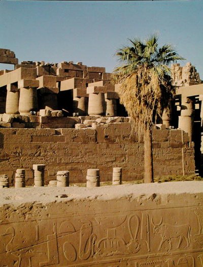 Zeď Ramsese II a Chrám Tuthmosis od Egyptian 19th Dynasty