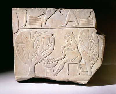 Reliéf ženy s dítětem natahujícím se po fíku platanu, z hrobky Mentuemhet, západní Théby, pozdní období od Egyptian 25th Dynasty