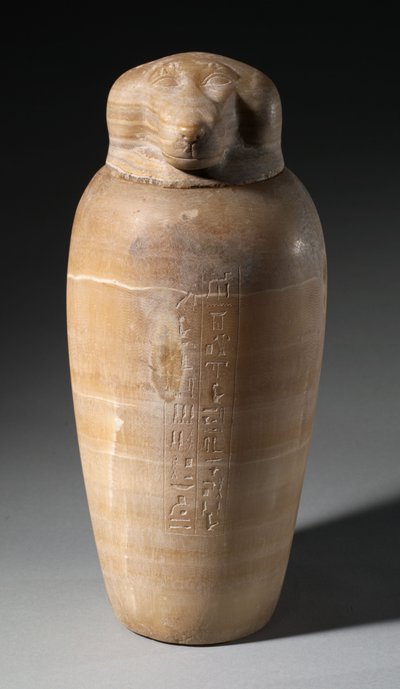 Kanopská nádoba s paviánovou hlavou, 664-525 př.nl od Egyptian 26th Dynasty