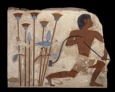 Ptačí pastva, reliéf z hrobky Nefermaat, Stará říše, cca 2620 př. n. l. (malovaný štukový reliéf) od Egyptian 4th Dynasty