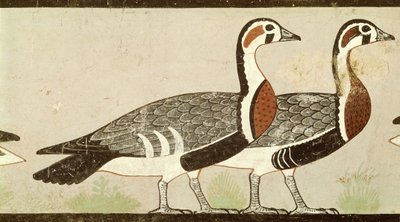 Meidumské husy, z hrobky Nefermaat a Atet, Stará říše, cca 2620 př. n. l. (malovaný štuk) od Egyptian 4th Dynasty