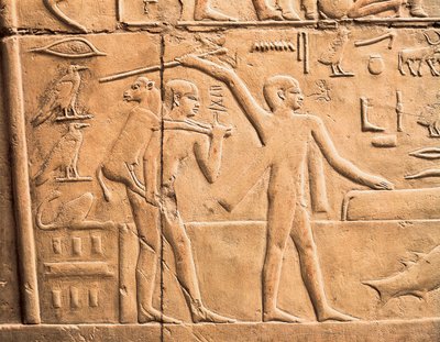 Scény farmářské práce, detail od Egyptian 4th Dynasty