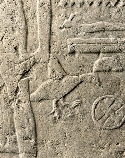 Detail reliéfu Pehenuka, Stará říše, 2465-2323 př. n. l. (vápenec) (viz také 440560, 440566, 440559 a 440564) od Egyptian 5th Dynasty