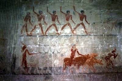 Muži pasoucí ovce a dobytek z kaple Mastaba of Ti, Stará říše (nástěnná malba) od Egyptian 5th Dynasty