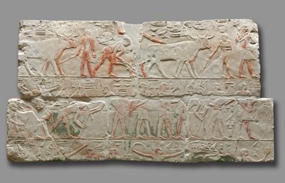 Reliéf zemědělských scén, ze Sakkáry, c.2311-2281 od Egyptian 6th Dynasty