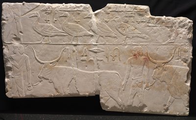 Reliéf mužů přinášejících ptáky a dobytek, kolem 2311-2281 před naším letopočtem od Egyptian 6th Dynasty