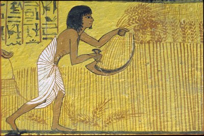Starověký Egypt, Nástěnná malba, Sennedjemská hrobka, Hrobka šlechticů, Théby, Deir el Medina od Egyptian Egyptian