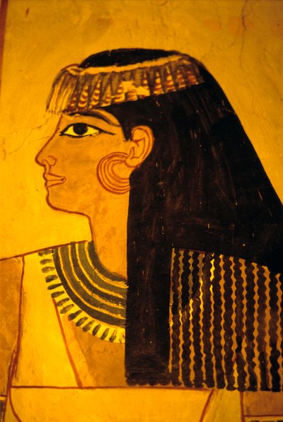Starověký Egypt, Nástěnná malba, Sennuferova hrobka Hrobka šlechticů, Théby od Egyptian Egyptian