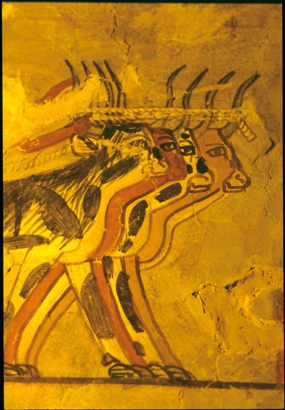 Starověký Egypt, Nástěnná malba, Sennuferova hrobka, Hrobka šlechticů, Théby od Egyptian Egyptian
