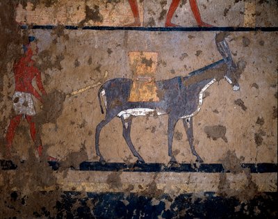 Egyptský starověk: „“přeprava obilí na hřbetě mezka“““ Temperová malba stěny hrobky kancléře krále Itiho (nebo Ityho) 2200-2000 př. Kr. Z El Ghebelen, Luxor. Turín, egyptské muzeum od Egyptian Egyptian