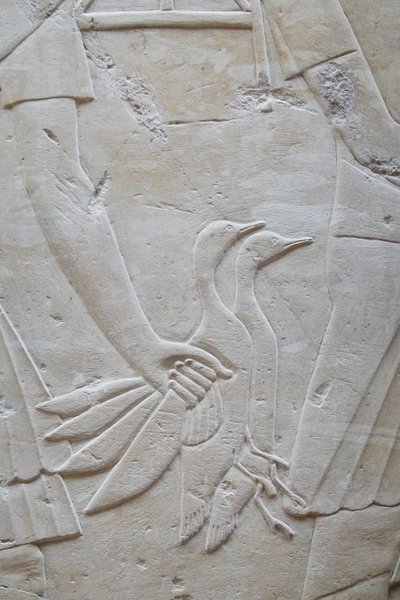 Ruka držící 2 husy za křídla, Ramoseho hrobka od Egyptian Egyptian