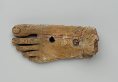 Levá noha z antropoidní rakve, 30 př. nl-2. století našeho letopočtu (dřevo a sádra) od Egyptian Egyptian
