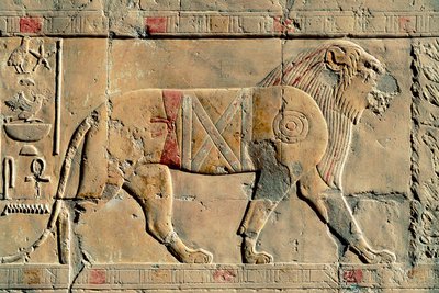 Lev, Senenmut, Chrám Hatšepsut, Dayr al-Bahri, Egypt od Egyptian Egyptian