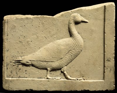 Reliéf zobrazující husu (vápenec) od Egyptian Ptolemaic Period