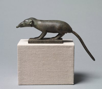 Shrew, 305-30 př.nl od Egyptian Ptolemaic Period