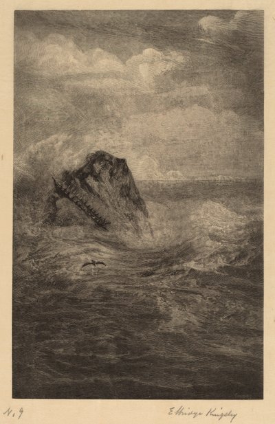 Skála v moři od Elbridge Kingsley