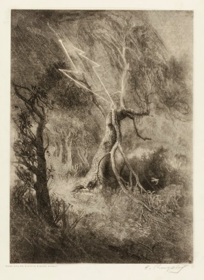 Tragédie hnízda od Elbridge Kingsley