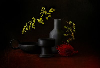 Temné botanické zátiší od Elena Arjona