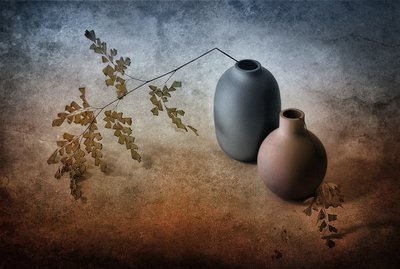 Jemné kapradiny a vázy od Elena Arjona