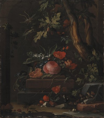 Květiny od Elias van den Broeck
