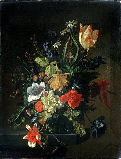Neznámý obrázek od Elias van den Broeck