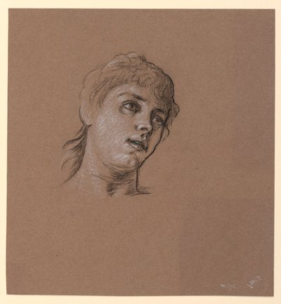 Kresba, portrétní skica mladé dívky, asi 1885 od Elihu Vedder