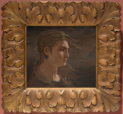 Hlava Medúzy od Elihu Vedder