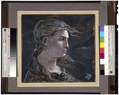Hlava Medúzy, 1878 od Elihu Vedder