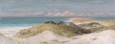  od Elihu Vedder
