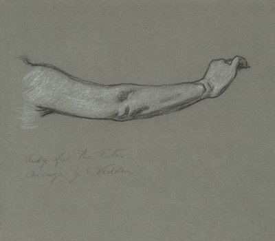 Studie pro osudy shromažďující se ve hvězdách, 1884-1887. od Elihu Vedder