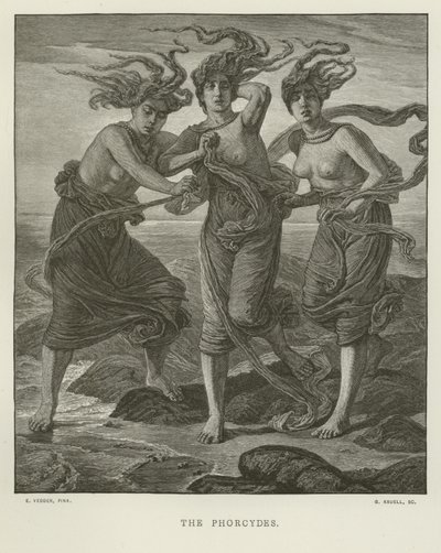 The Phorcydes (rytina) od Elihu Vedder
