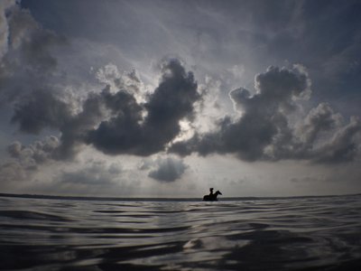 Horse Horizon, 2014 (sítotisk) od Elinleticia Högabo