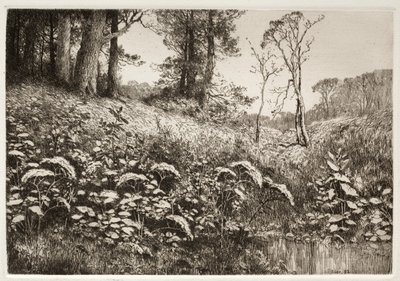 Letní odpoledne, 1882. od Elis F. Miller