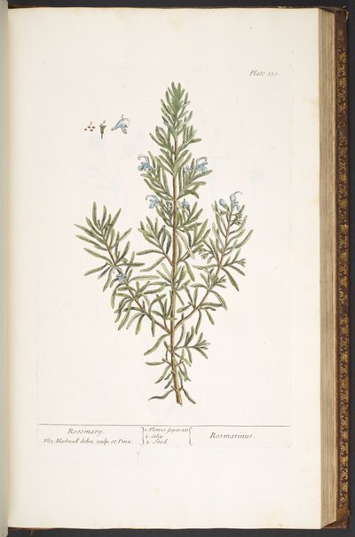 Talíř 159, z 