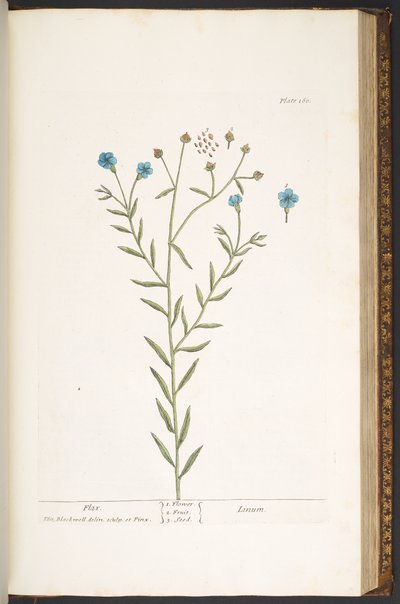 Talíř 160, z 