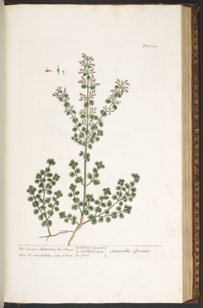 Talíř 167, z 