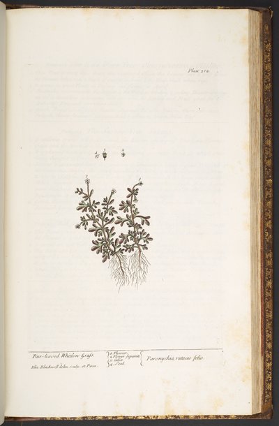 Talíř 212, z 