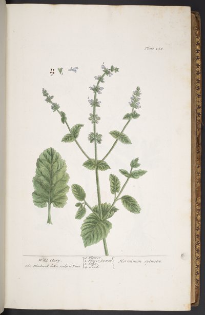 Talíř 258, z 