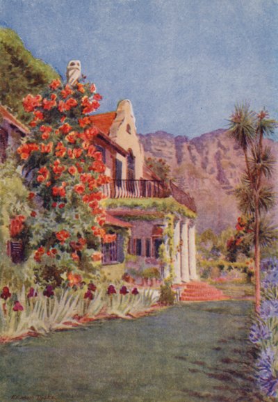 Bignonia grandiflora at Paradise, Claremont (barevná litografie) od Elizabeth Drake