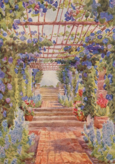 Pergola pokrytá modrými rostlinami Ipomoea Learii de Grendel, Tygerberg (barevná litografie) od Elizabeth Drake
