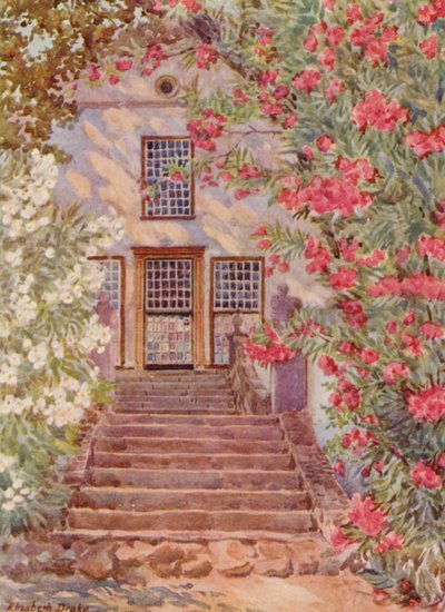 Růžové a bílé oleandry, Alphen, Wynberg (barevná litografie) od Elizabeth Drake